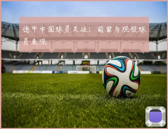 德甲中国球员足迹：前辈与现役球员表现