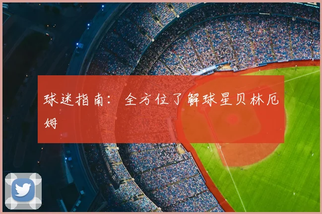 球迷指南:全方位了解球星贝林厄姆